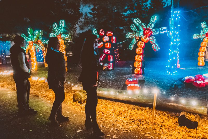 Pumpkin Nights • Salt Lake Magazine