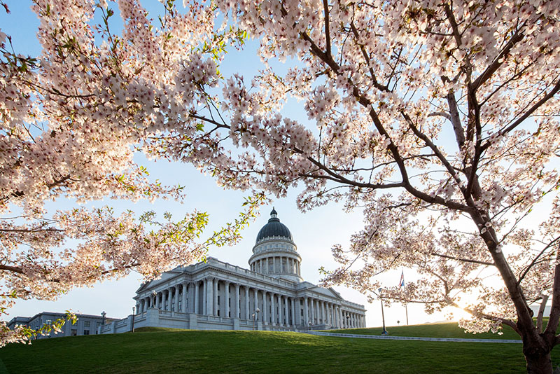 Your Week Ahead: March 25 — March 31 - Vimarsana News