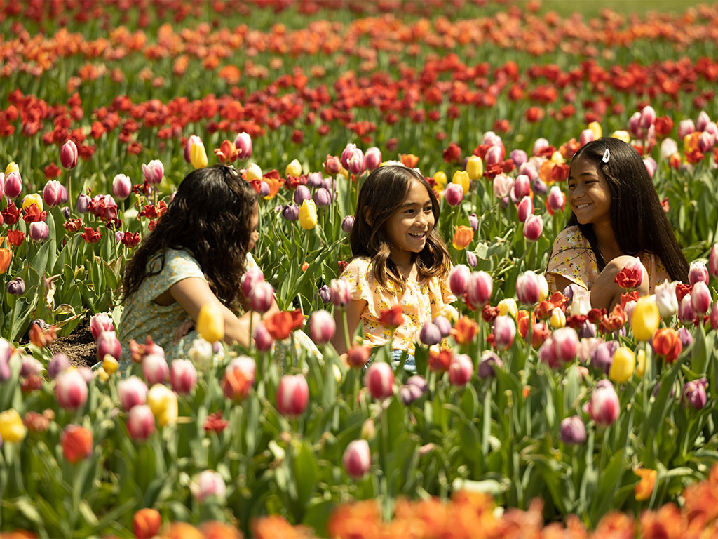 Your Week Ahead: April 8 - April 14 - Vimarsana News