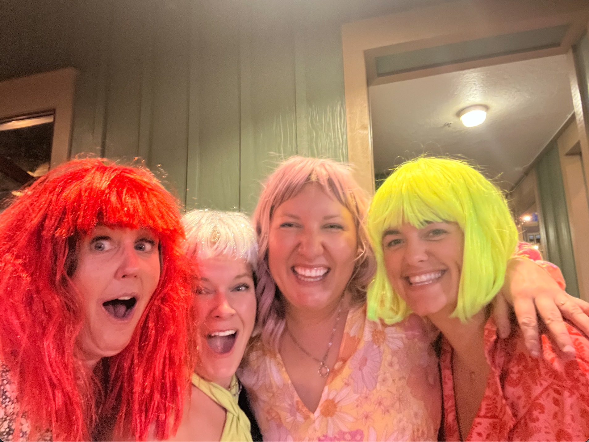 Screenshot 2025-06-13 at 11.17.52 AM Lucky Ones Wig Party Fundraiser